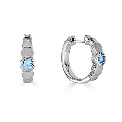 PREZIUOS BLUE TOPZ EARRING